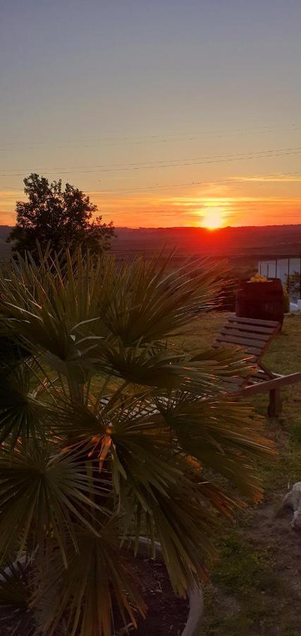 Appartement ***** Quinta Do Pôr do Sol ***** à Figueira da Foz Extérieur photo